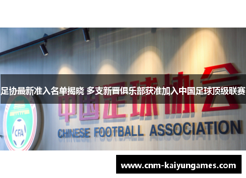 足协最新准入名单揭晓 多支新晋俱乐部获准加入中国足球顶级联赛