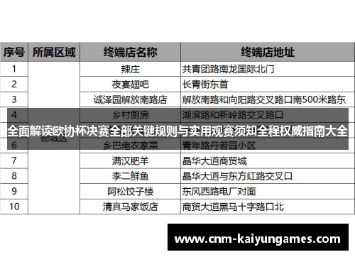 全面解读欧协杯决赛全部关键规则与实用观赛须知全程权威指南大全