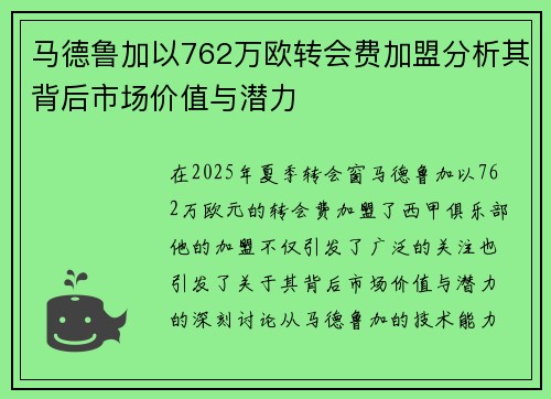 马德鲁加以762万欧转会费加盟分析其背后市场价值与潜力