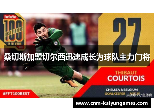 桑切斯加盟切尔西迅速成长为球队主力门将